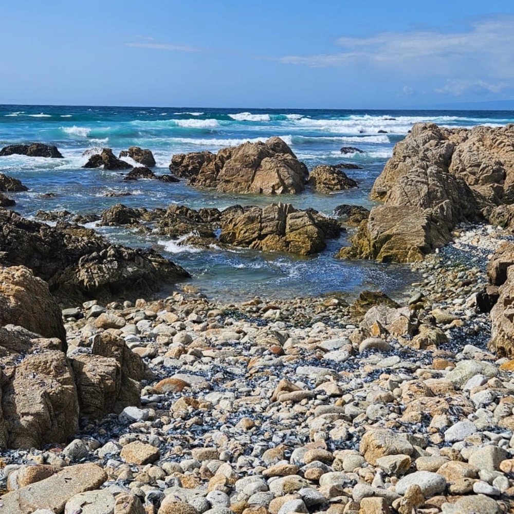 Meet your Posher, Mina